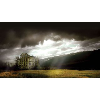 Orphanage, The Picture 8