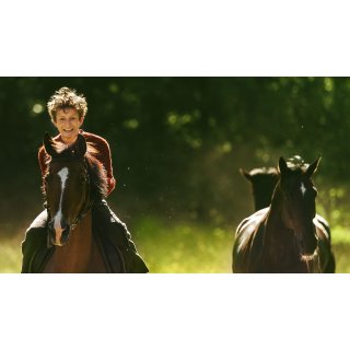 Out Stealing Horses (2020)