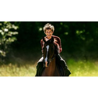 Out Stealing Horses (2020)