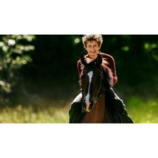 Out Stealing Horses (2020)