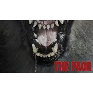 Pack, The (2016)