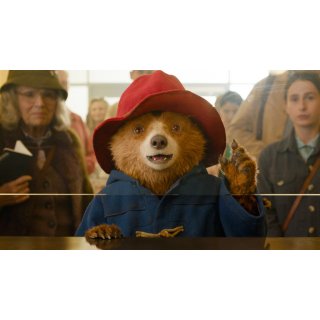 Paddington In Peru Picture 3