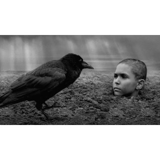 Painted Bird, The Picture 10