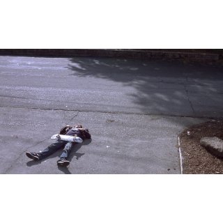 Paranoid Park (2008)