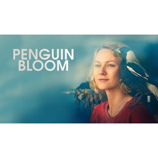 Penguin Bloom Picture 6