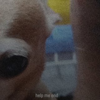 Pet Shop Picture 3