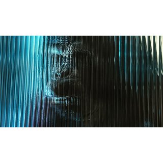 Primate (2026)