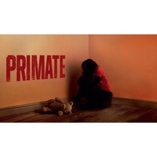 Primate Picture 5