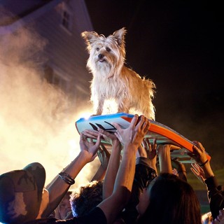 A scene from Warner Bros. Pictures' Project X (2012)