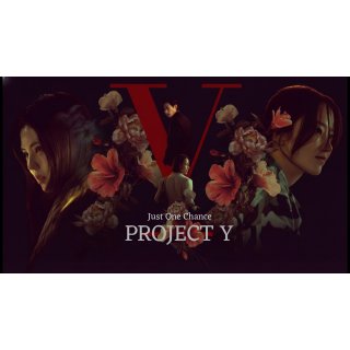 Project Y Picture 9