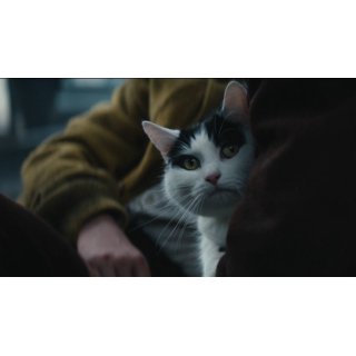 Quiet Place: Day One, A Picture 9