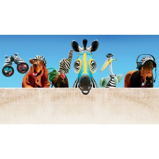 Racing Stripes (2005)