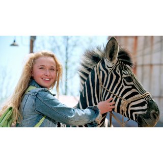 Racing Stripes (2005)