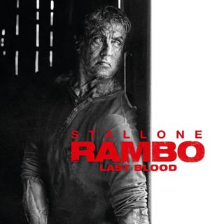 Rambo: Last Blood Picture 3