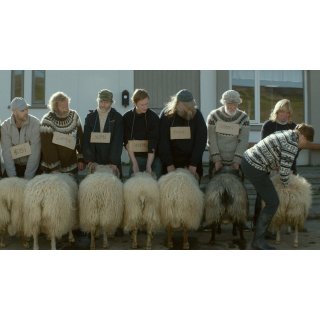 Rams (2016)