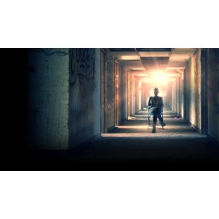 Rebirth (2016)