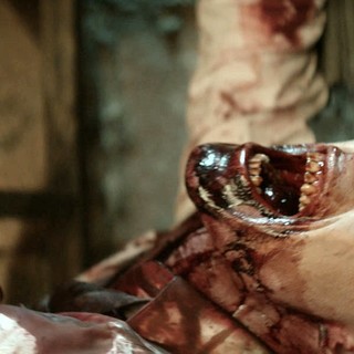 A scene from Sony Pictures Home Entertainment's [Rec] 3 Genesis (2012)