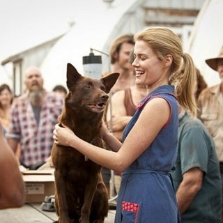 Rachael Taylor stars as Nancy in ARC Entertainment's Red Dog (2012)