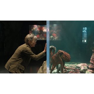 Remarkably Bright Creatures (2026)