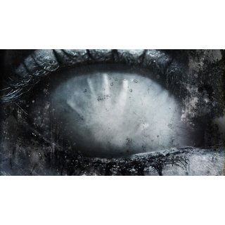 Return, The (2006)