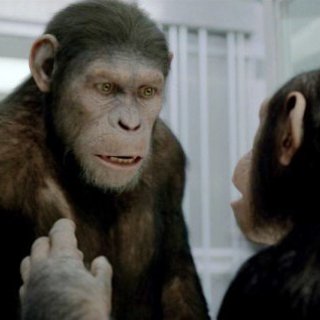 Rise of the Planet of the Apes Picture 39
