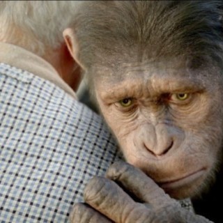 Rise of the Planet of the Apes Picture 42