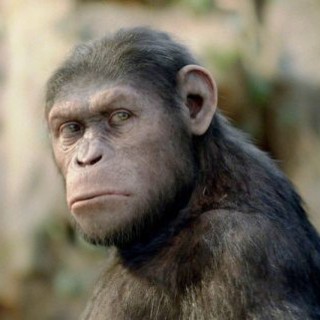 Rise of the Planet of the Apes Picture 43