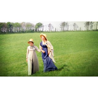 Sense And Sensibility Picture 8