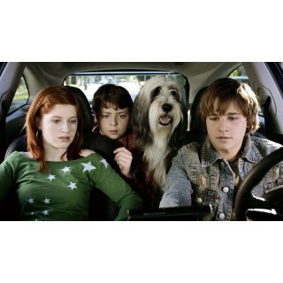 Shaggy Dog, The (2006)