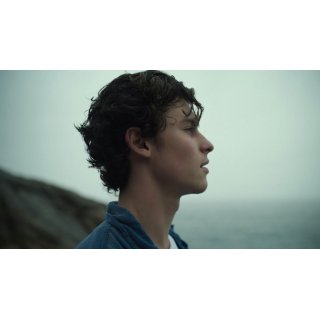Shawn Mendes: In Wonder (2020)