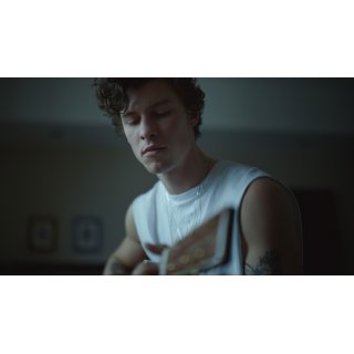 Shawn Mendes: In Wonder (2020)
