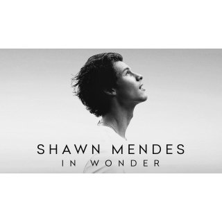 Shawn Mendes: In Wonder (2020)