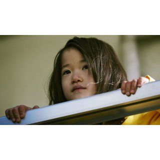 Shoplifters (2018)