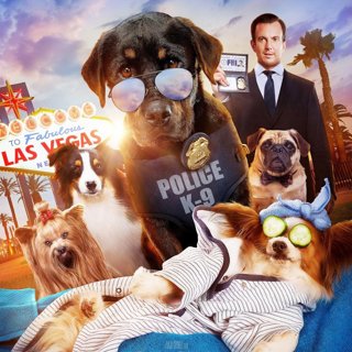 Show Dogs Picture 1