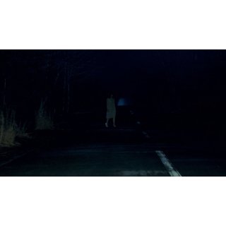 Shutter (2008)