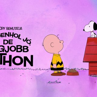 Snoopy Presents: There's No Place Like Home, Snoopy Picture 2