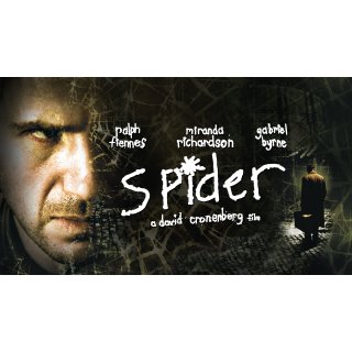 Spider Picture 1