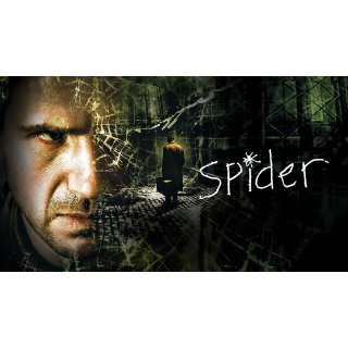 Spider Picture 9