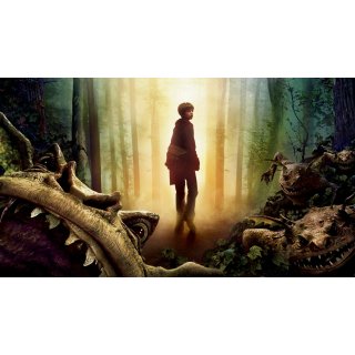 Spiderwick Chronicles, The Picture 5