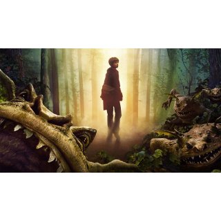Spiderwick Chronicles, The Picture 10