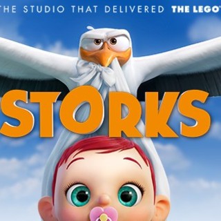 Storks Picture 1