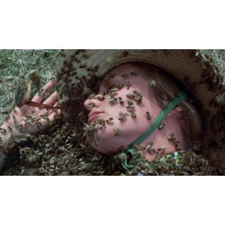Swarm, The (1970)