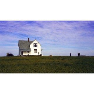 Sweet Land Picture 5