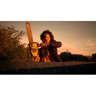 Texas Chain Saw Massacre, The (2014)