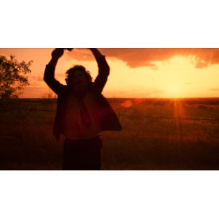 Texas Chain Saw Massacre, The (2014)