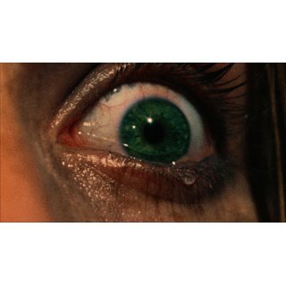 Texas Chain Saw Massacre, The Picture 10