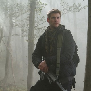 Expendables 2, The Picture 53