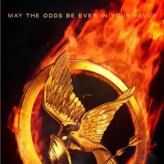 The Hunger Games Picture 1