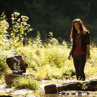 Last Witch Hunter, The Picture 41