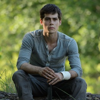 Dylan O'Brien stars as Thomas in 20th Century Fox's The Maze Runner (2014)